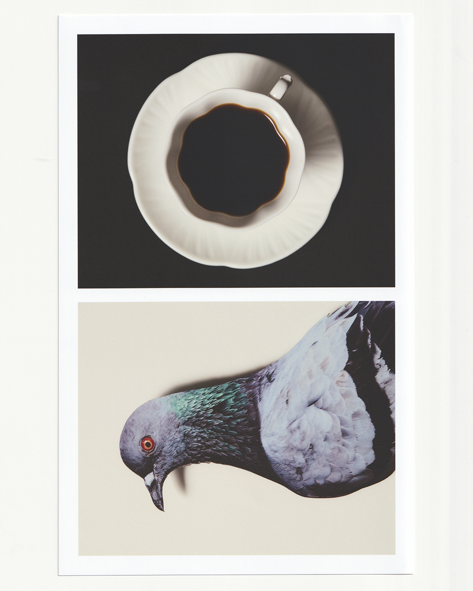 #Photography #Photographer #StillLife #StillLifePhotography #StillLifePhotographer #ProductPhotography #StudioPhotography #CreativeDirection #ArtDirection #VisualArt #DesignPhotography #EditorialPhotography #FineArtPhotography #ContemporaryPhotography #VisualStorytelling #LightingDesign #SetDesign #ObjectsInFocus #StudioMode #GeorgeHousePhotography #ModernAesthetic #StillLifeArt #CreativeStillLife #MinimalStillLife #ExperimentalStillLife #ConceptualPhotography #MixedMediaPhotography #CollageArt #AIArt #DigitalStillLife #PhotoCollage #ProcessBasedArt #VisualPlay #RisoPrint #MaterialTextures #SurfaceStudy #ObjectStudy #FormAndFunction #AbstractPhotography #AbstractArt #ProductDesign #LuxuryProducts #WatchPhotography #PerfumePhotography #FootwearPhotography #FurniturePhotography #JewelleryPhotography #JewelryPhotography #CosmeticsPhotography #EyewearPhotography #FoodPhotography #DrinkPhotography #HomewarePhotography #GlasswarePhotography #TechPhotography #TextilePhotography #AccessoryPhotography #FashionPhotography #FashionStillLife #FashionProduct #BeautyPhotography #AdCampaign #DesignCulture #ModernDesign #ArtAndDesign #InteriorPhotography #InteriorDesign #Architecture #ArchitecturalPhotography #FurnitureDesign #ObjectLovers #MaterialCulture #DesignDetails #ContemporaryDesign #SpatialDesign #CraftAndDesign #Modernism #Decor #HomeDesign #HomeDecor #FormAndFunction #LandscapePhotography #TravelPhotography #ExplorationPhotography #VisualJourney #NatureTextures #FoundCompositions #UrbanLandscape #EnvironmentalPhotography #RoadTripPhotography #LightAndSpace #ColourAndForm #VisualExploration #NaturePhotography #Cityscape #ArchitecturePhotography #BehindTheScenes #ArtistStudio #PhotographyPortfolio #VisualFeed #InspirationDaily #ContemporaryVisuals #EmergingArtist #OnlineGallery #SupportCreatives #ModernPhotography #CreativeCommunity #VisualCulture #ArtCommunity #PhotoLondon #Exhibition #ContemporaryArt #ArtPhotography #MyFeatureShoot #PhroomMagazine #ApricotMagazine #ClassicsMagazine #HomePhotoExperience #Design #ObjectsInFocus #EverydayObjects #ModernAesthetic #DesignDetails #MaterialTextures #SculpturalForms #SurfaceStudy #Texture #Light #Shadow #Balance #Colour #Composition #VisualDesign #LondonPhotographer #UKPhotography #SouthLondonStudio #StudioBasedArtist #VisualArtist #LondonStillLife #Hackney #LondonStudio #GeorgeHouse #ContemporaryDesign #ModernPhotography #CreativeProcess #BehindTheLens #StudioLife #OnSet #ArtistProcess #ArtCollector #ContemporaryStillLife #ModernArtPhotography #FineArtVisuals